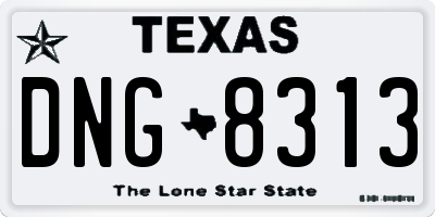 TX license plate DNG8313