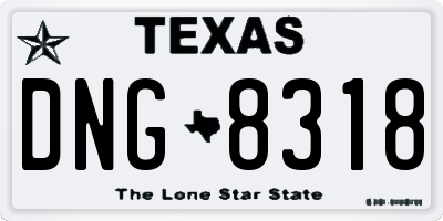 TX license plate DNG8318