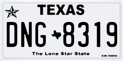 TX license plate DNG8319
