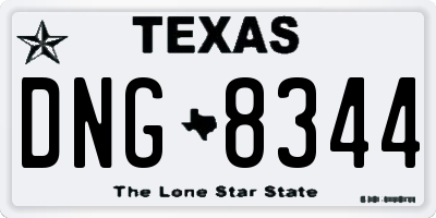 TX license plate DNG8344