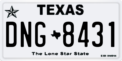 TX license plate DNG8431
