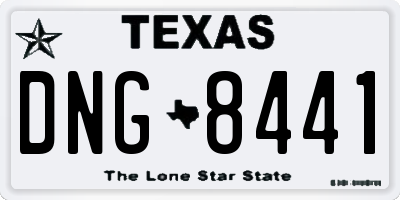 TX license plate DNG8441