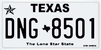 TX license plate DNG8501