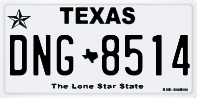 TX license plate DNG8514