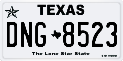 TX license plate DNG8523