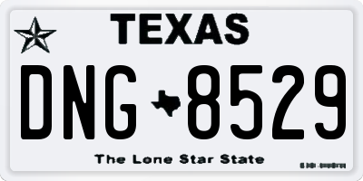 TX license plate DNG8529