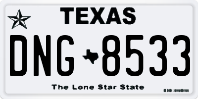 TX license plate DNG8533
