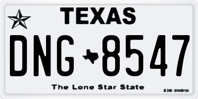 TX license plate DNG8547