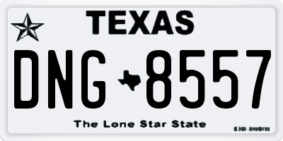 TX license plate DNG8557