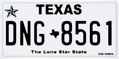 TX license plate DNG8561
