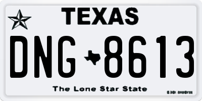 TX license plate DNG8613