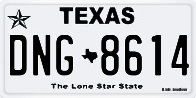TX license plate DNG8614