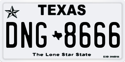 TX license plate DNG8666