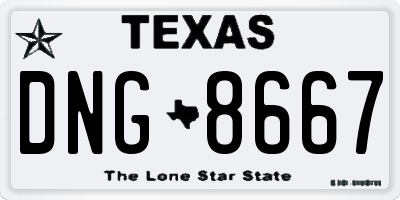 TX license plate DNG8667