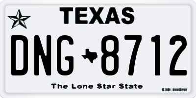 TX license plate DNG8712