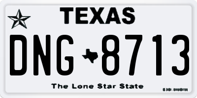 TX license plate DNG8713