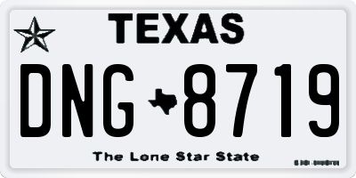 TX license plate DNG8719