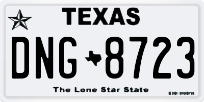 TX license plate DNG8723