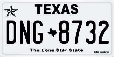 TX license plate DNG8732