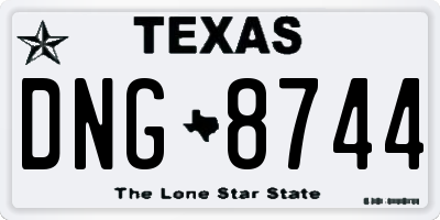 TX license plate DNG8744