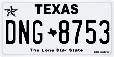 TX license plate DNG8753