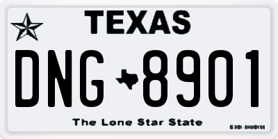 TX license plate DNG8901