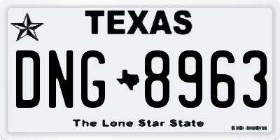 TX license plate DNG8963