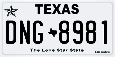 TX license plate DNG8981