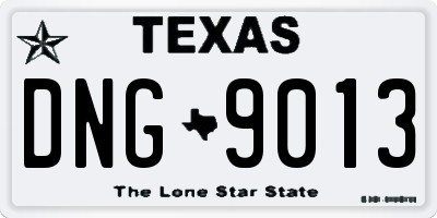 TX license plate DNG9013