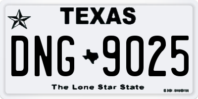 TX license plate DNG9025