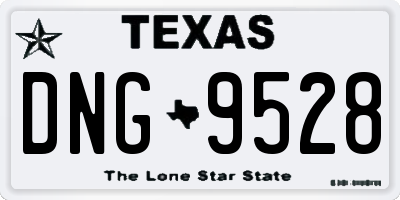 TX license plate DNG9528
