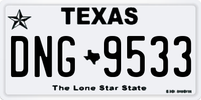 TX license plate DNG9533