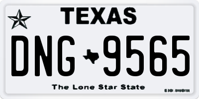 TX license plate DNG9565