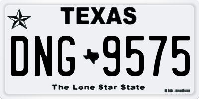 TX license plate DNG9575