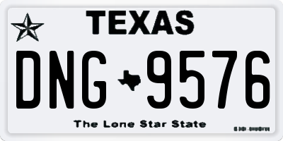 TX license plate DNG9576