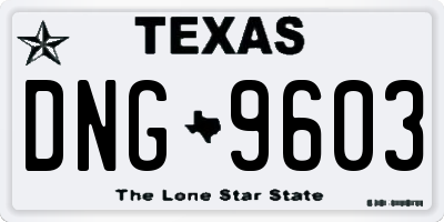 TX license plate DNG9603
