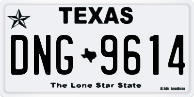 TX license plate DNG9614