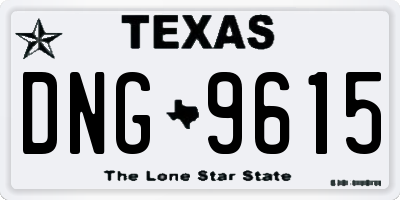 TX license plate DNG9615