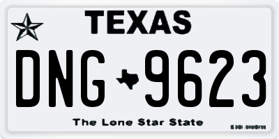 TX license plate DNG9623