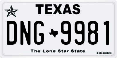 TX license plate DNG9981