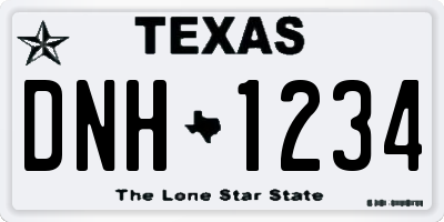 TX license plate DNH1234