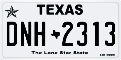 TX license plate DNH2313