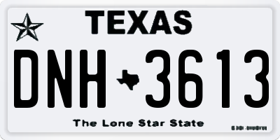 TX license plate DNH3613
