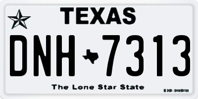TX license plate DNH7313