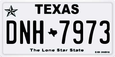 TX license plate DNH7973