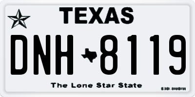 TX license plate DNH8119