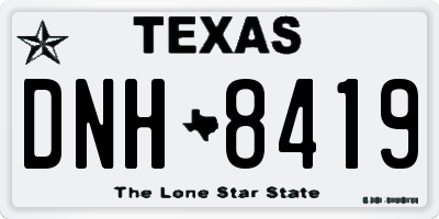 TX license plate DNH8419