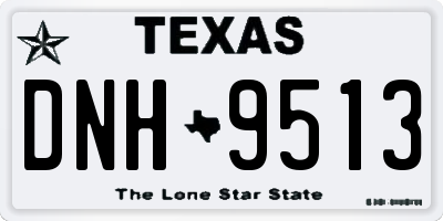 TX license plate DNH9513