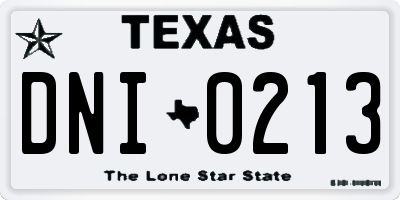 TX license plate DNI0213