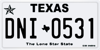 TX license plate DNI0531